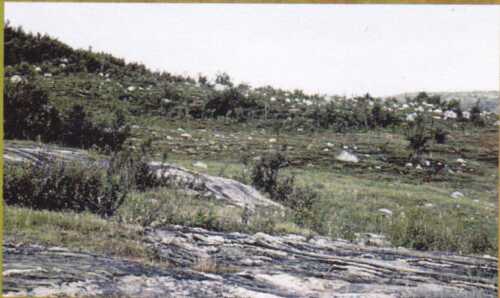 Bilde 3. Endemorene ved Åselistraumen med større steiner og blokker på toppen. Foro: Arne Fjalsta