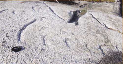 Bilde 5. Sigdbruddene på dette bildet viser at breen ved Åselistraumen har beveget seg mot venstre