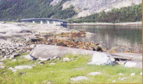 Photo 6. A roche mountonée (center) with the steep leeward side to the left (northwest). The Åseli